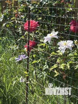 Дом 50м², 1-этажный, участок 8 сот.