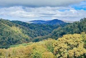 Дом 160м², 3-этажный, участок 5 сот.