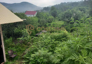 Дом 50м², 1-этажный, участок 5 сот.