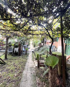 Дом 78м², 1-этажный, участок 7 сот.