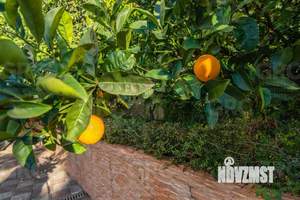 Дом 600м², 4-этажный, участок 18 сот.