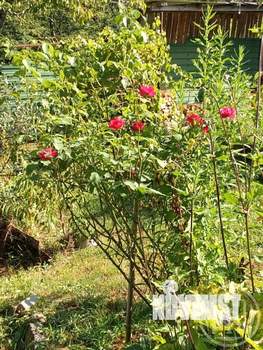 Дом 70м², 2-этажный, участок 7 сот.