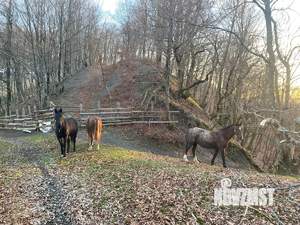 Дом 147м², 2-этажный, участок 6 сот.