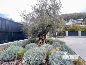 Дом 300м², 3-этажный, участок 6 сот.