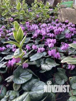 Дом 259м², 3-этажный, участок 7 сот.