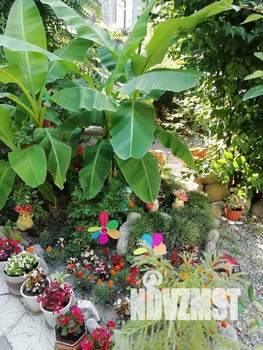 Дом 30м&sup2;, 1-этажный, посуточно, 