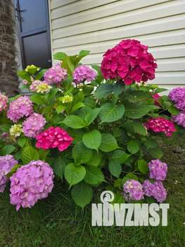 Дом 20м&sup2;, 1-этажный, посуточно, 