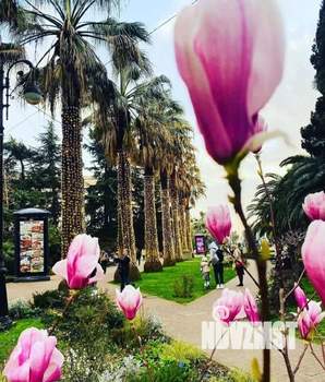 Дом 55м², 2-этажный, посуточно, 