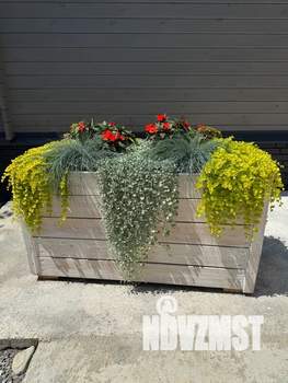 Дом 24м², 1-этажный, посуточно, 