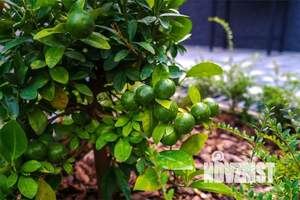 Дом 144м², 2-этажный, посуточно, 