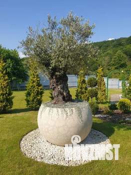 Дом 120м², 2-этажный, посуточно, 