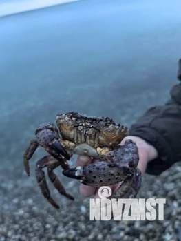 Дом 90м&sup2;, 2-этажный, посуточно, 