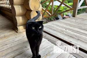 Дом 70м², 2-этажный, посуточно, 