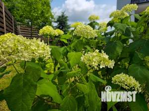 Дом 191м&sup2;, 2-этажный, посуточно, 