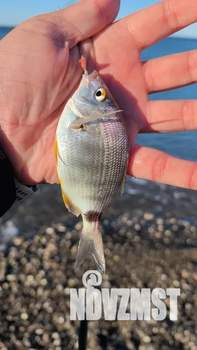 Дом 60м&sup2;, 2-этажный, посуточно, 