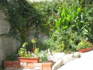 Дом 60м&sup2;, 1-этажный, посуточно, 