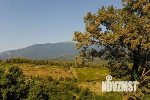 Дом 45м², 1-этажный, посуточно, 