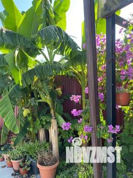 Дом 85м², 1-этажный, посуточно, 