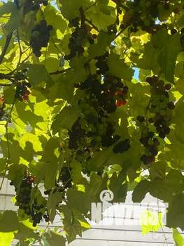 Дом 40м&sup2;, 2-этажный, посуточно, 