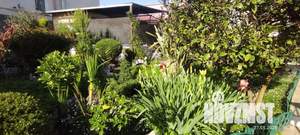 Дом 30м², 1-этажный, посуточно, 