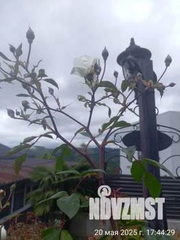 Дом 46м², 1-этажный, посуточно, 