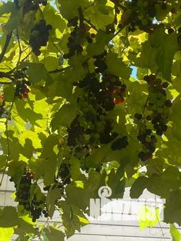 Дом 40м², 2-этажный, посуточно, 