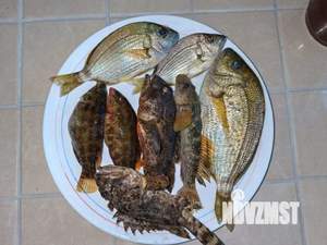 Дом 60м&sup2;, 2-этажный, посуточно, 