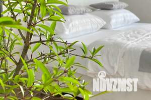 Дом 250м², 2-этажный, посуточно, 