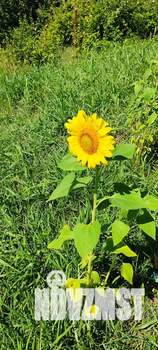 Дом 100м², 3-этажный, посуточно, 