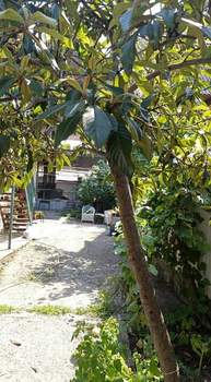 Дом 50м², 1-этажный, на длительный срок, 