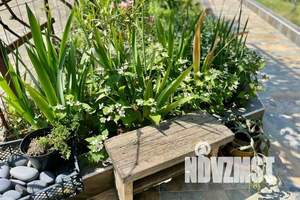 Дом 250м², 3-этажный, посуточно, 