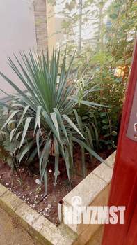 Дом 42м², 1-этажный, посуточно, 