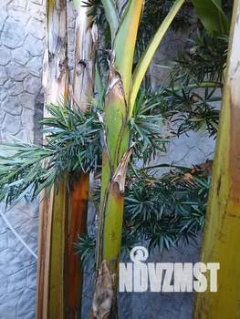 Дом 40м², 1-этажный, посуточно, 