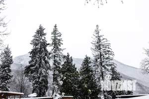 Дом 15м², 1-этажный, посуточно, 