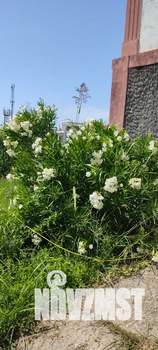 Дом 100м², 3-этажный, посуточно, 