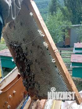 Дом 25м², 2-этажный, посуточно, 