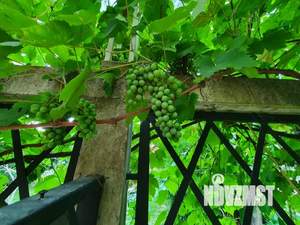 Дом 120м², 1-этажный, посуточно, 