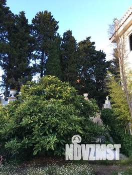 Дом 300м², 4-этажный, посуточно, 