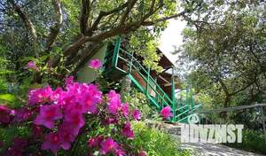 Дом 25м², 1-этажный, посуточно, 