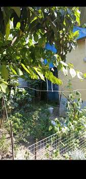 Дом 50м², 1-этажный, на длительный срок, 