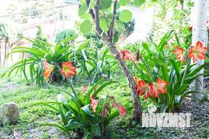 Дом 70м&sup2;, 2-этажный, посуточно, 