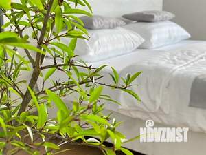 Дом 250м², 2-этажный, посуточно, 