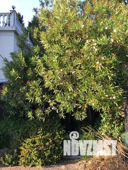 Дом 300м&sup2;, 4-этажный, посуточно, 