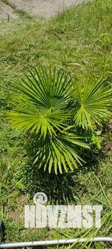 Дом 100м², 3-этажный, посуточно, 