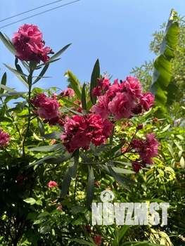 Дом 109м&sup2;, 2-этажный, посуточно, 