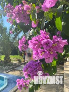 Дом 300м², 3-этажный, посуточно, 