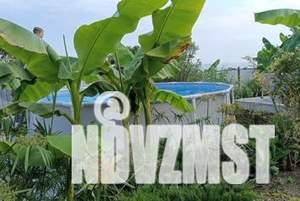 Дом 100м², 2-этажный, посуточно, 