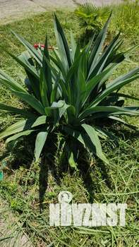 Дом 100м², 3-этажный, посуточно, 