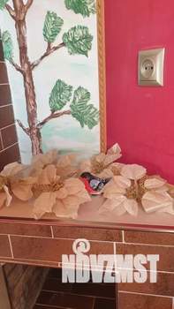 Дом 300м², 3-этажный, посуточно, 