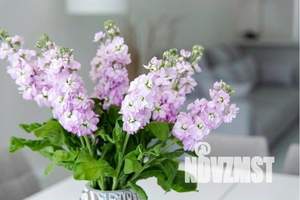 Дом 290м², 2-этажный, посуточно, 
